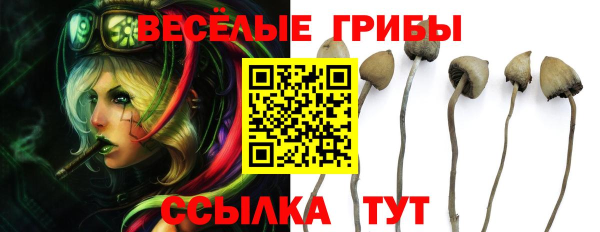 Шумерля  Галлюциногенные грибы GOLDEN TEACHER  Вход с VPN 